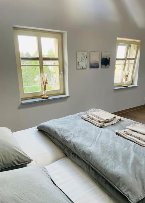 Traumvilla Im Herzen Hainichens מראה חיצוני תמונה